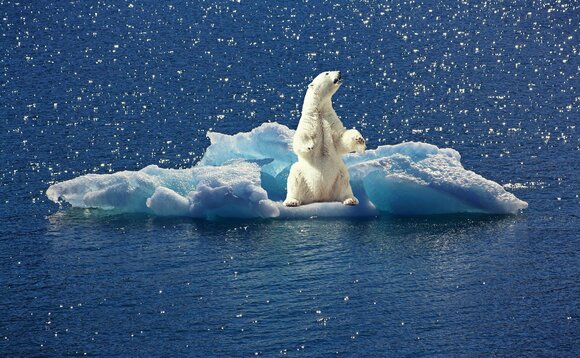 Buzz: Is your scheme confident about climate reporting?