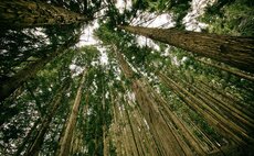 Almost half (43%) of trustees do not feel able to monitor and report on their schemes ESG policy to a high standard, according to CACEIS. Almost half (43%) of trustees do not feel able to monitor and report on their schemes ESG policy to a high standard, according to CACEIS.