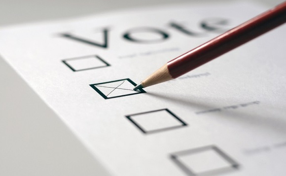Trustees have little power to influence managers' voting policies Trustees have little power to influence managers' voting policies