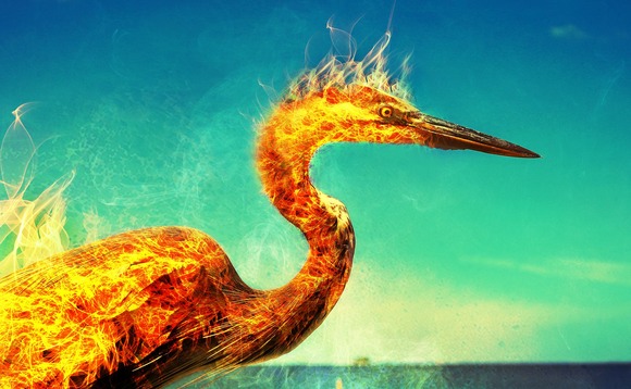 'Phoenix' companies often discharge pension obligations 'Phoenix' companies often discharge pension obligations