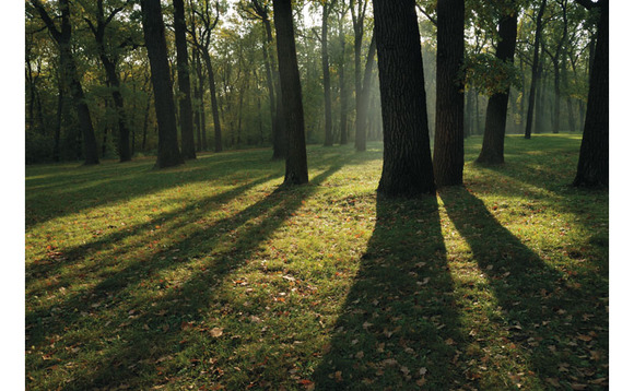 Hargreaves Lansdown has adopted the Investment Association’s new definitions around ethical and responsible investments. Hargreaves Lansdown has adopted the Investment Association’s new definitions around ethical and responsible investments.
