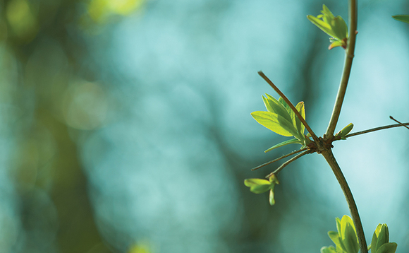 Aviva Investors’ fully ESG-integrated ‘My Future Focus’ investment strategy has been adopted by the Aviva Master Trust as its standard default. Aviva Investors’ fully ESG-integrated ‘My Future Focus’ investment strategy has been adopted by the Aviva Master Trust as its standard default.
